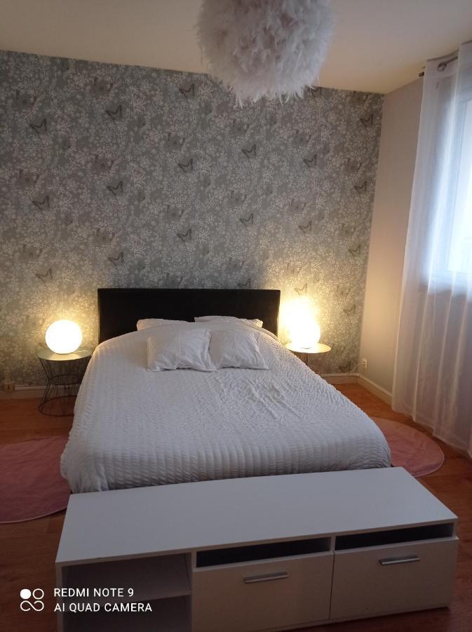 Le Cosy Appartement Vichy Buitenkant foto